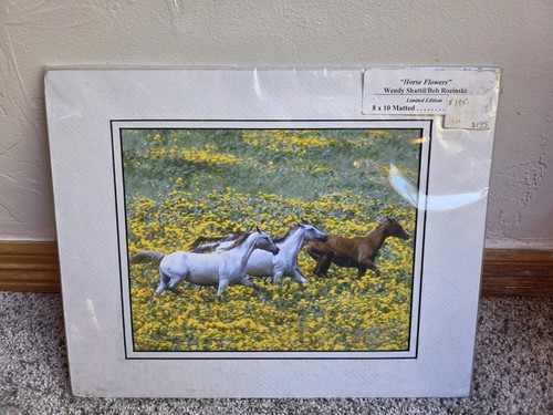 Gathering horses by wendy - horses,